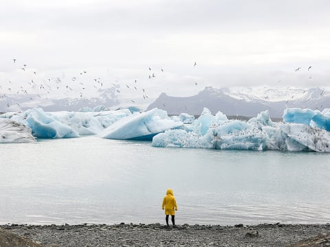 Private Glacier Lagoon, Diamond Beach & South Coast, photo 13