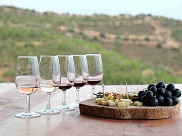 Full Day Wine Tasting Tour in Cape Town and Franschhoek