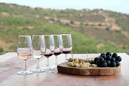 All inclusive, 20 glasses Full Day Wine Tour in Cape Town