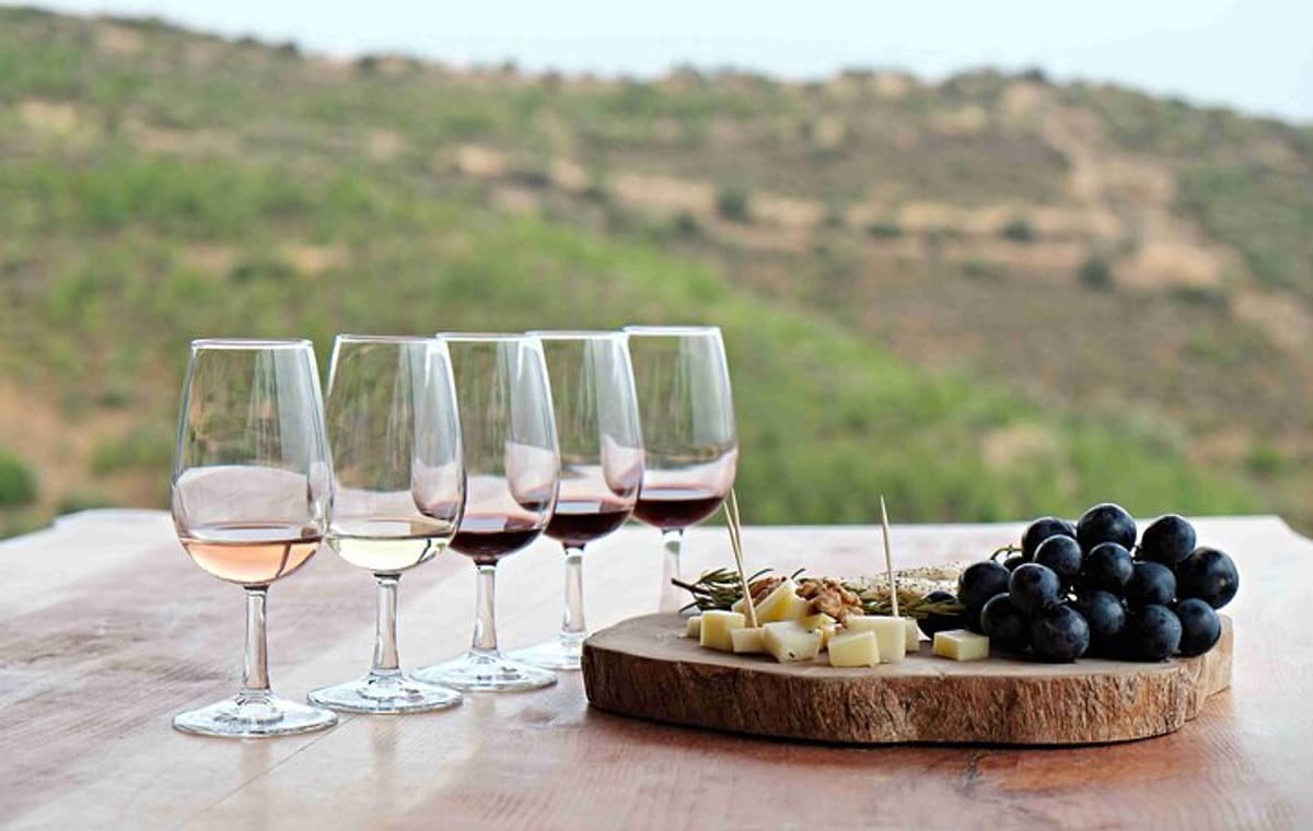 All inclusive, 20 glasses Full Day Wine Tour in Cape Town