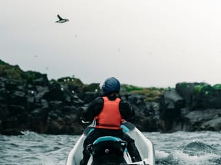 Puffin Jet ski tour in Reykjavík, photo 11