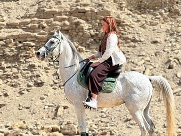 Abusir Horseback Riding and Fifth Dynasty Pyramids Tour