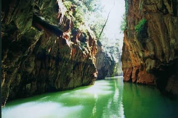 Stone Forest and Jiuxiang Cave Day Tour in Yunnan