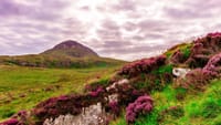 Hike in Connemara National Park. Galway. Guided. 3