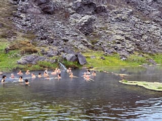 Landmannalaugar Highlands 4x4 Minibus Tour with Hot Spring Bath, photo 9