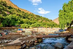 Atlas Mountains 3-Valleys Private Day Trip from Marrakech 