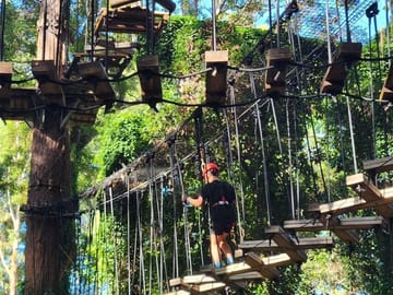 Atlas Mountains Zipline Adventure with Berber Lunch from Marrakesh