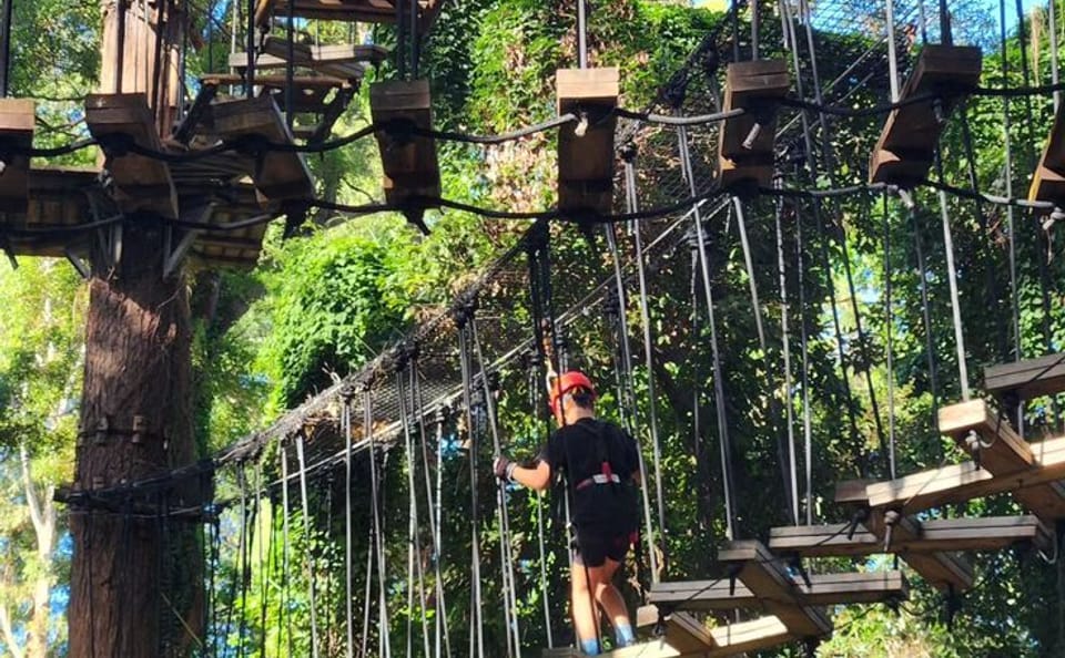 Atlas Mountains Zipline Adventure with Berber Lunch from Marrakesh