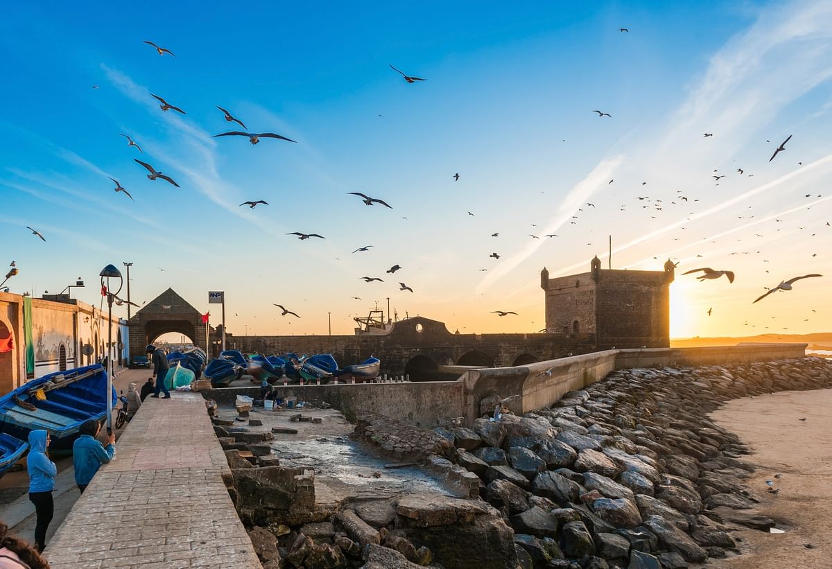 Private Day Trip to Essaouira: Explore Coastal Beauty & Culture from Marrakech