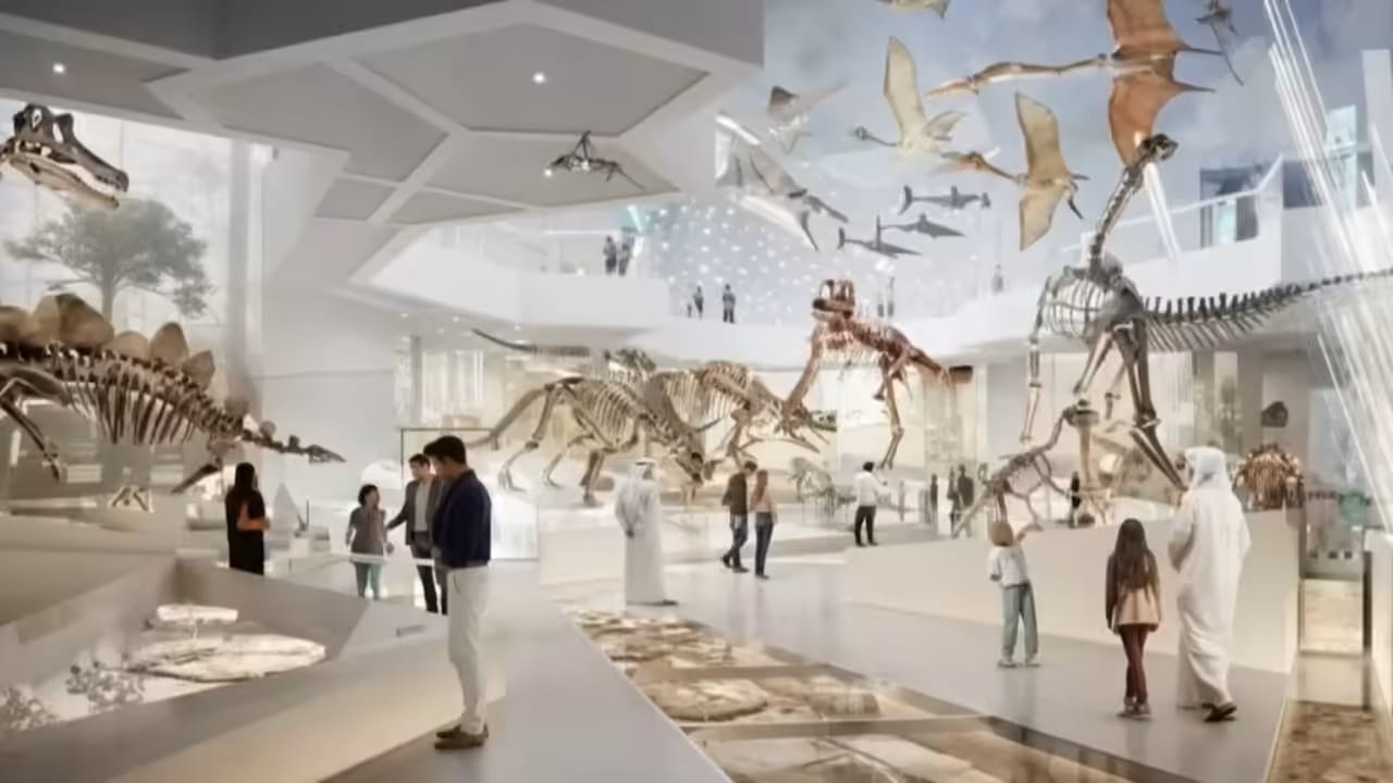 Natural History Museum Abu Dhabi Tickets