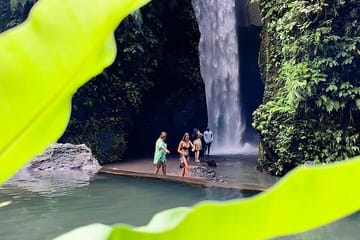 Bali Waterfalls and Sacred Temples Full-Day Tour