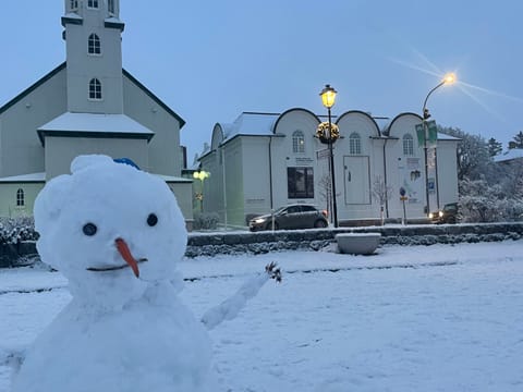 Discover downtown Reykjavík with us in an intimate and informative way with small traditional tastes , runic gift and a visit to a museum., photo 4