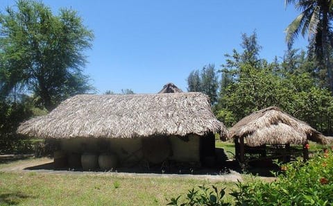 Full-Day My Lai Massacre Tour from Da Nang to Quang Ngai