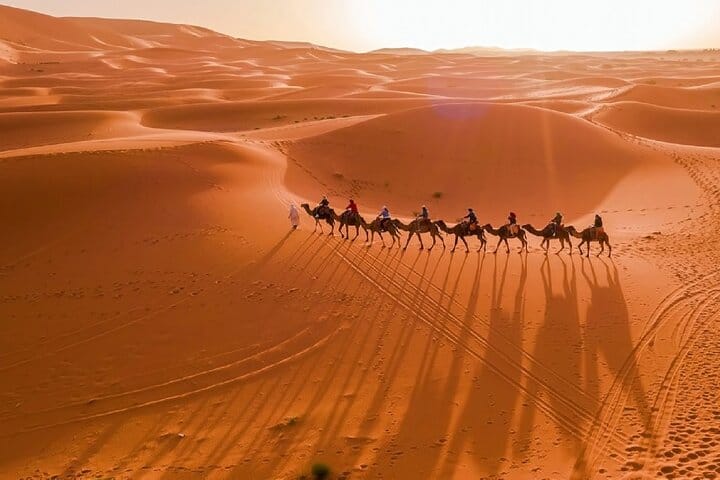 Tour of Morocco Private 12-Days via Imperial Cities and Merzouga