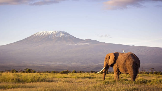 8 Days Kenya Family Safari