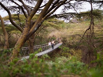 Bridge at Ololo Lodge