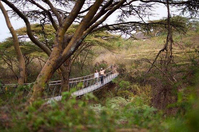 Bridge at Ololo Lodge