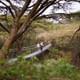 Bridge at Ololo Lodge