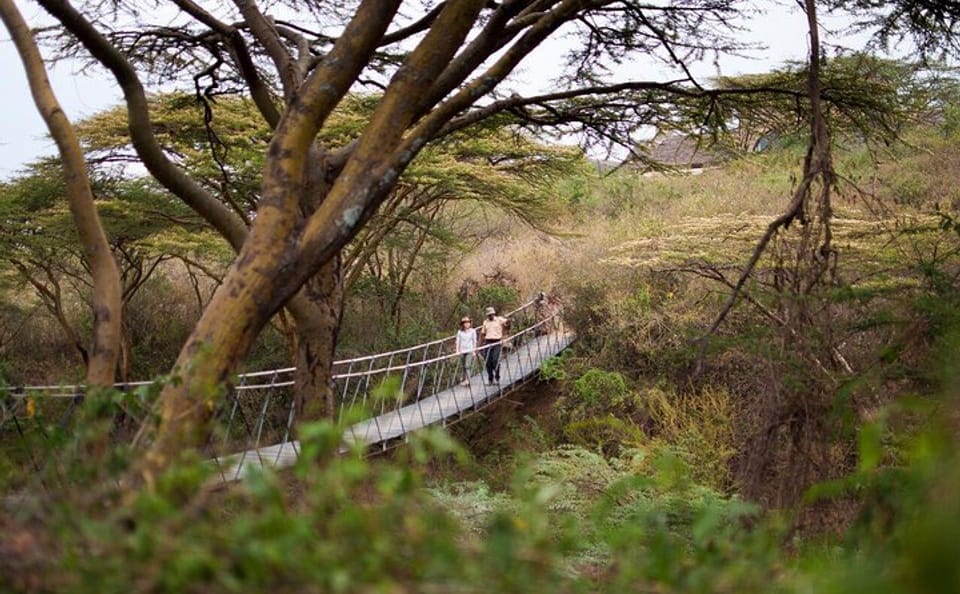 3-Day Safari Adventure in Nairobi National Park, Kenya