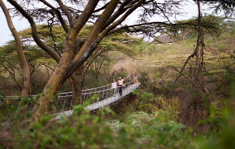 3-Day Safari Adventure in Nairobi National Park, Kenya