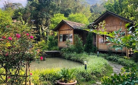 From Hanoi: Sa Pa 3 Days Trekking Hotel & Bungalow Overnight