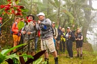 A group of tourists with hiking gear and walking sticks exploring a tropical forest in Moshi.