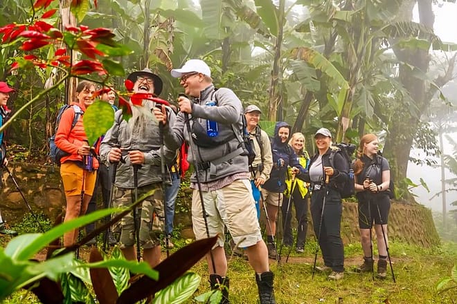 A group of tourists with hiking gear and walking sticks exploring a tropical forest in Moshi.