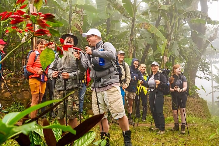 A group of tourists with hiking gear and walking sticks exploring a tropical forest in Moshi.