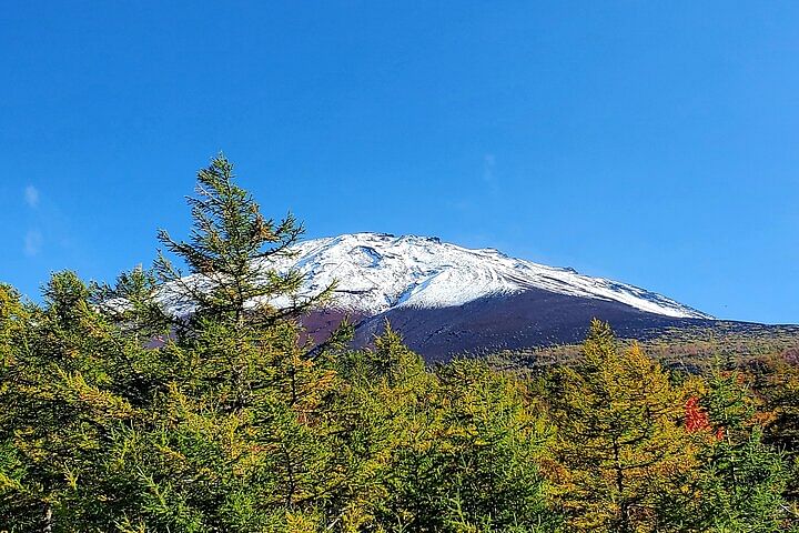 Full Day Mount Fuji Private Tour with English Speaking Guide