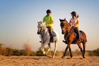 Two Hours Adventure Horse Riding In Hurghada 10