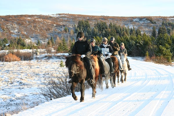 Viking Tour