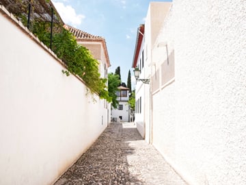 From Malaga: Granada & Alhambra private day trip