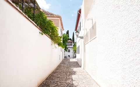 From Malaga: Granada & Alhambra private day trip