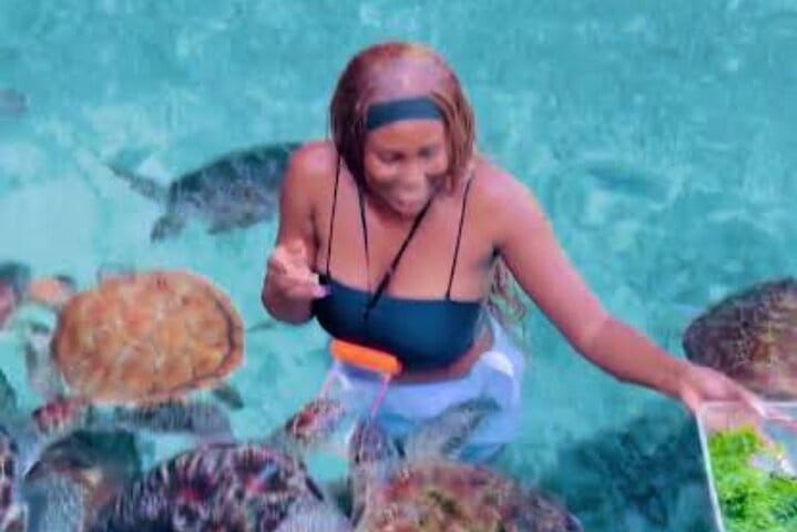 Zanzibar Salaam Cave Swimming and Feeding Sea Turtle in Kizimkazi