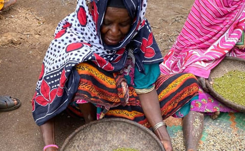 Zanzibar: Tumbatu Island Cultural Experience