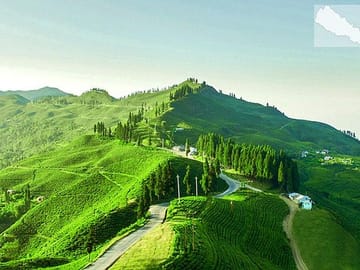 3-Day Nature and Sightseeing Tour to Ilam from Kathmandu