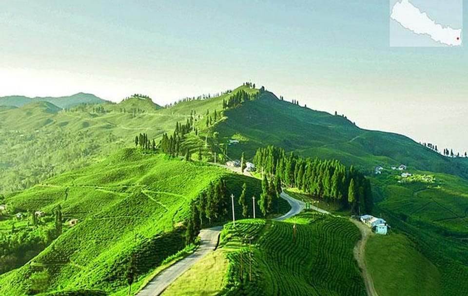 3-Days Eastern Paradise Ilam Tour from Kathmandu