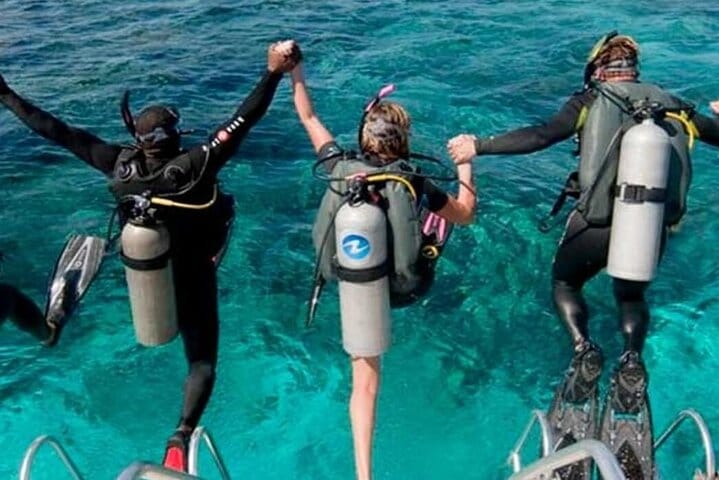 5 tours in 1 (Eco Farm/Horseback/City Tour/Buggy/Zipline)