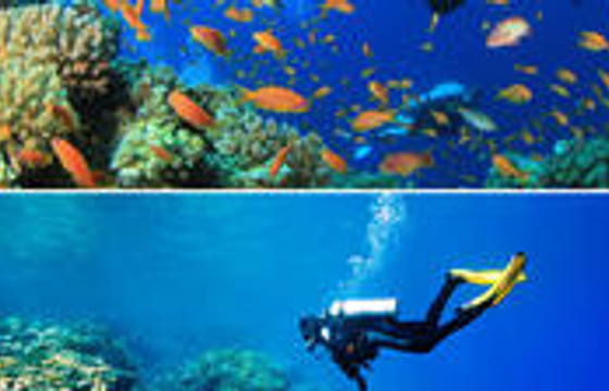 2 Tank Roatan Fun Dive, Boat Sightseeing Tour, including ground transportation
