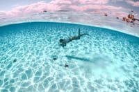 Cozumel El Cielo Sandbar and Reef Snorkeling Private Adventure  8