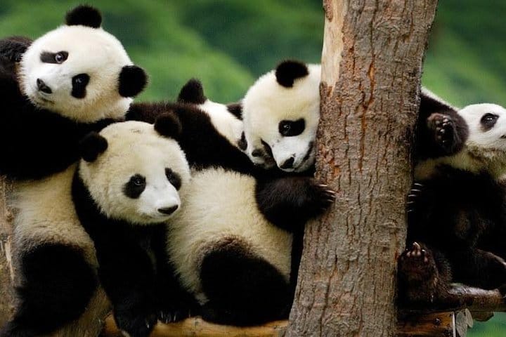 Autumn 10 days Jeonju&Mt.Naejangsan&Mt.Seorak&Mungyeong&Jeju&Busan on Early Nov