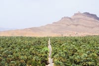 "Figuig The Lost Oasis | Private & Luxury 4