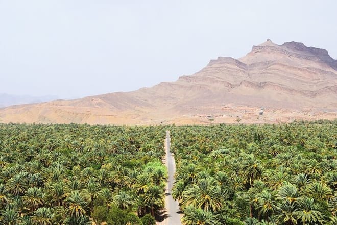 "Figuig The Lost Oasis | Private & Luxury 4