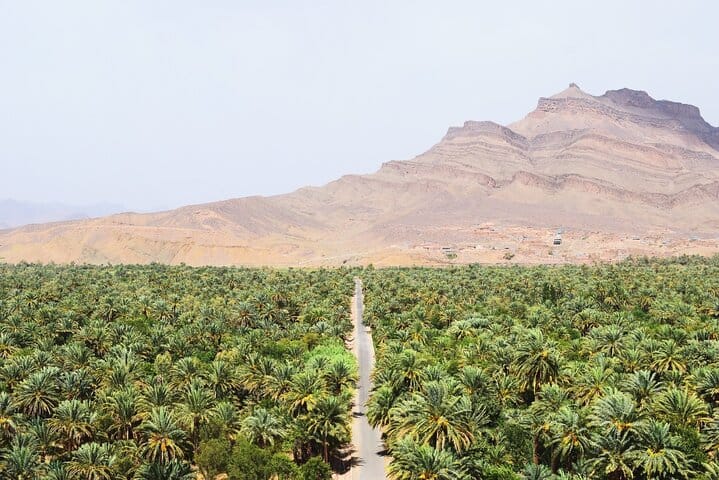 "Figuig The Lost Oasis | Private & Luxury 4