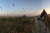 Cappadocia: Sunrise Camel Safari 6