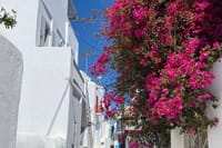Let’s Go Mykonos Town Village Beaches Viewpoint Highlights Tour 6