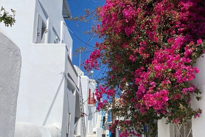 Let’s Go Mykonos Town Village Beaches Viewpoint Highlights Tour 6