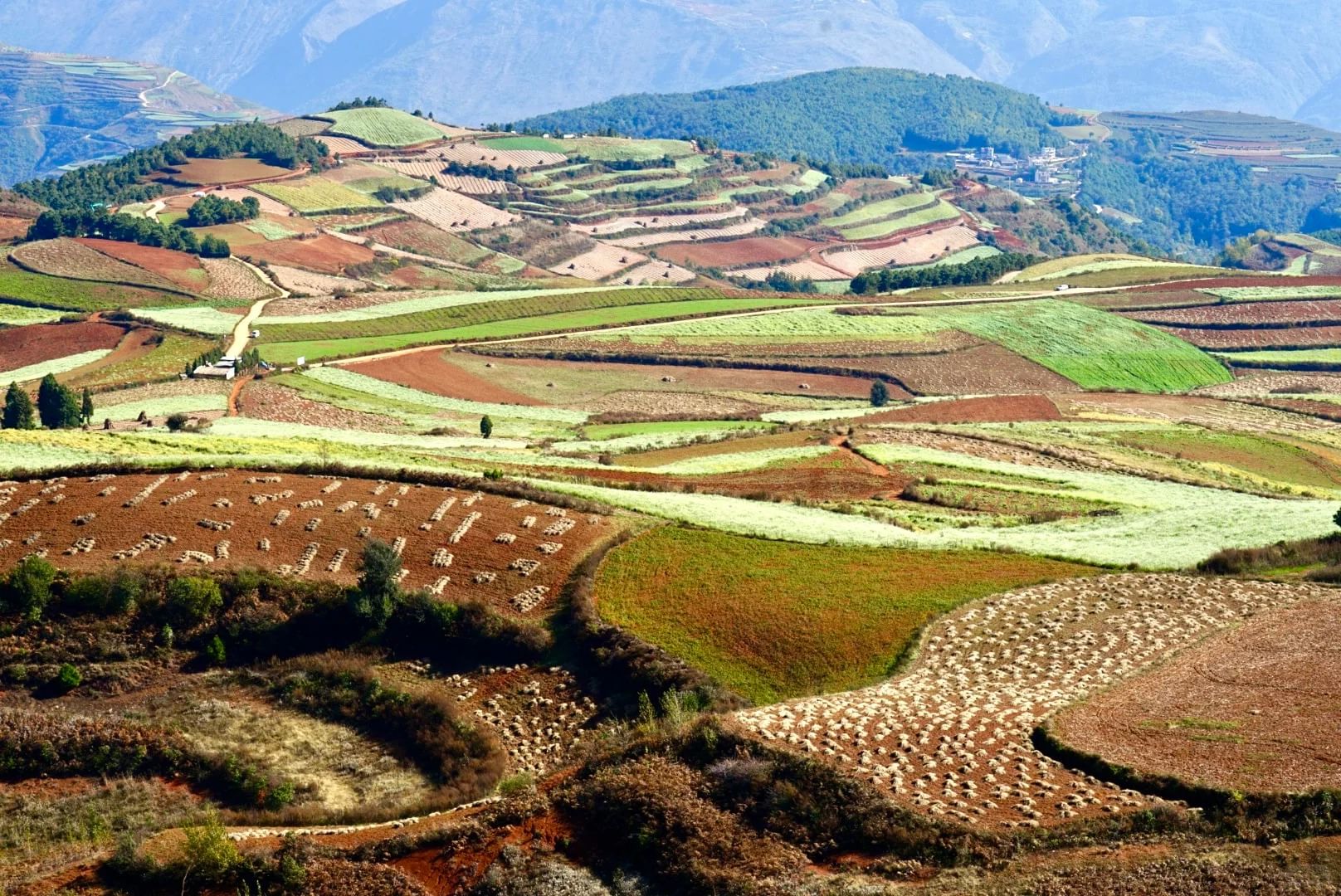 Red earth landscape(Tianluogou)