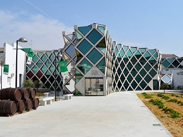 From Huelva: El Condado wine region day trip
