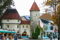 Tallinn Private Walking Tour With A Professional Guide 4